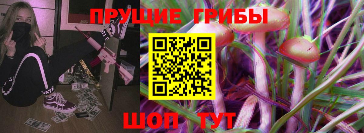 Михайловка  Галлюциногенные грибы Psilocybine cubensis  дарнет шоп  Вход с VPN  Галлюциногенные грибы GOLDEN TEACHER 